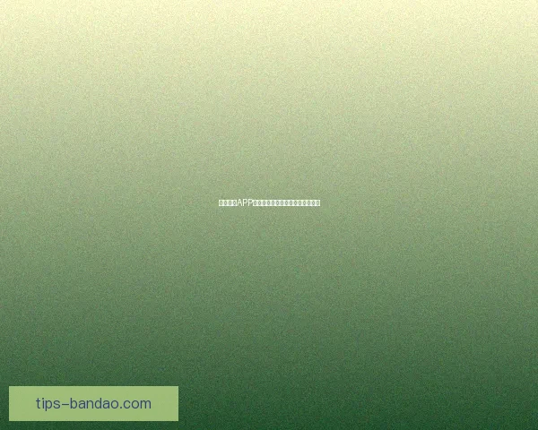 半岛体育APP官方下载入口全面解析及使用指南