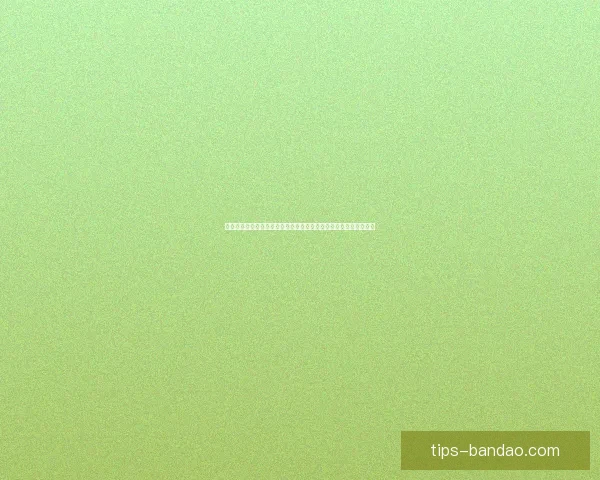 世界杯足球竞猜入口全方位分析助你轻松预测赛事结果尽享竞猜乐趣