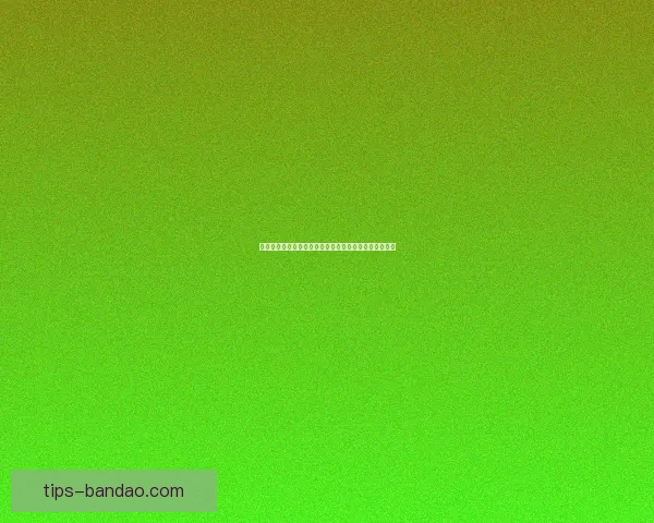 世界杯竞猜游戏规则详解与投注技巧新手到高手全面指南