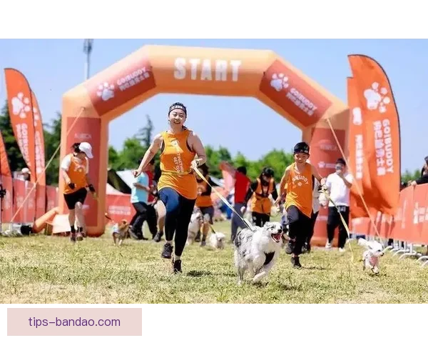 半岛体育入口全新体验打造专业运动资讯与赛事互动平台