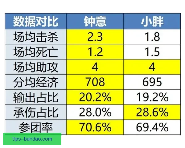 体育竞猜入口全面解析带你进入全新竞猜体验与机会
