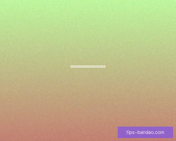 世界杯精彩竞猜赛事直播全程解读与赛况实时追踪指南